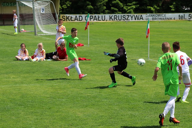 他们必须寻 他们必须寻