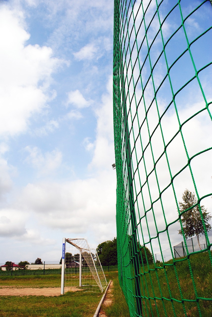 而这种适应 而这种适应