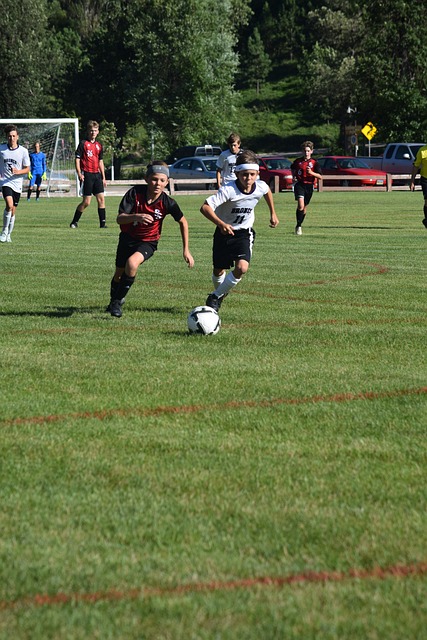 对方严密的 对方严密的