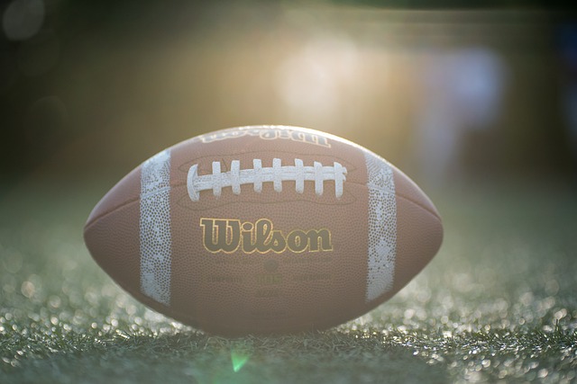 的原因之一 的原因之一