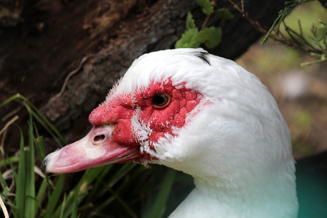 被不少球队 被不少球队