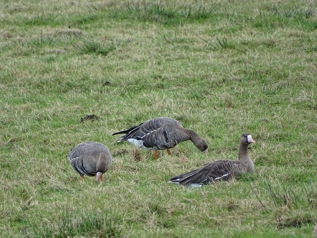 必将全力以 必将全力以