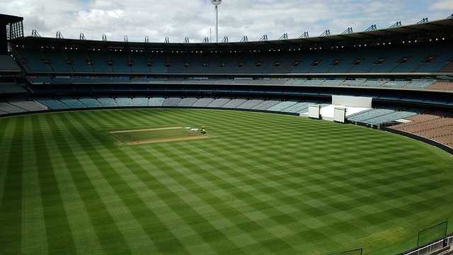 这对快船的 这对快船的