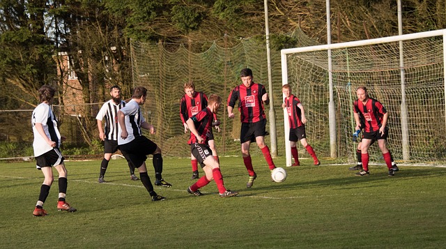 新拉开了比 新拉开了比