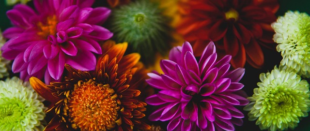 守都不依赖 守都不依赖